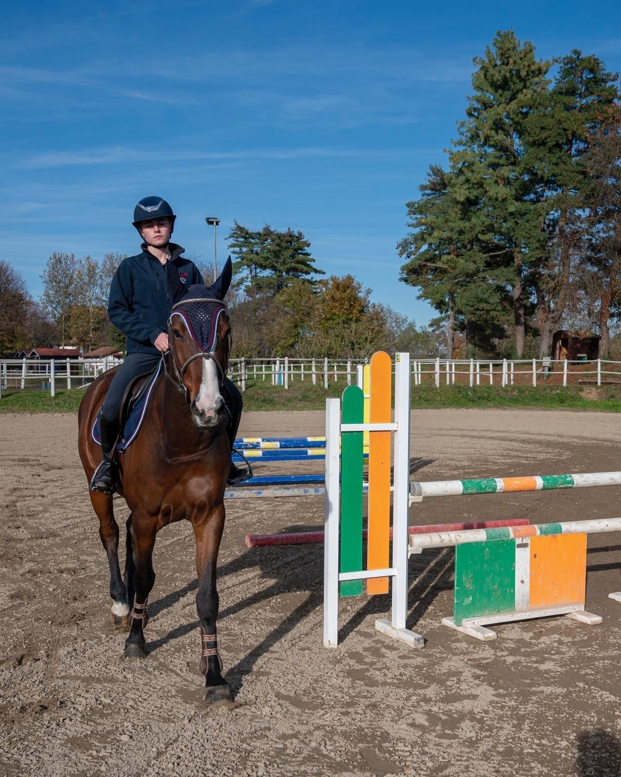 Persona che cavalca un cavallo marrone vicino a un ostacolo in un'arena all'aperto in una giornata di sole.
