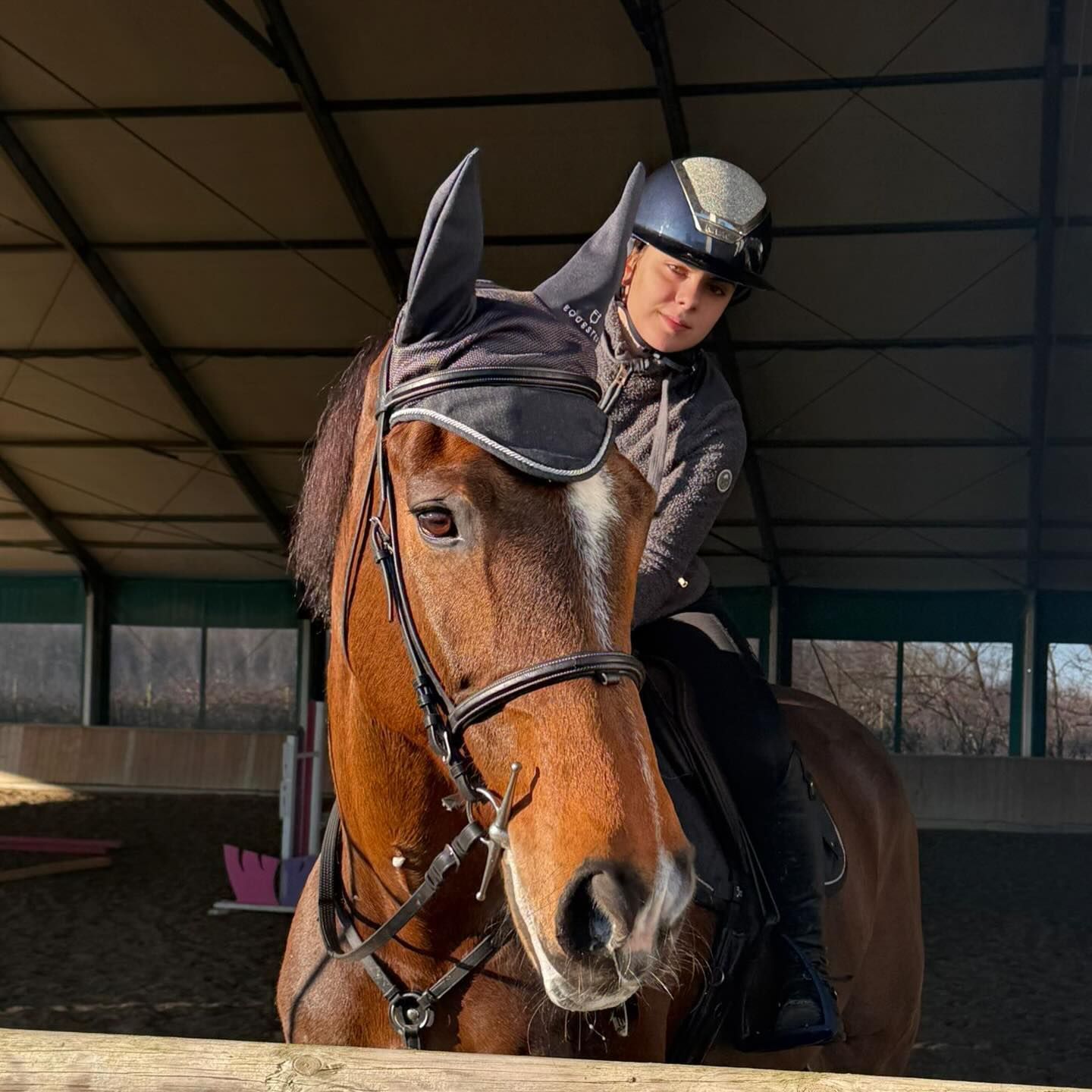 Donna che cavalca un cavallo marrone in un'arena coperta, indossando un casco e una cuffia.