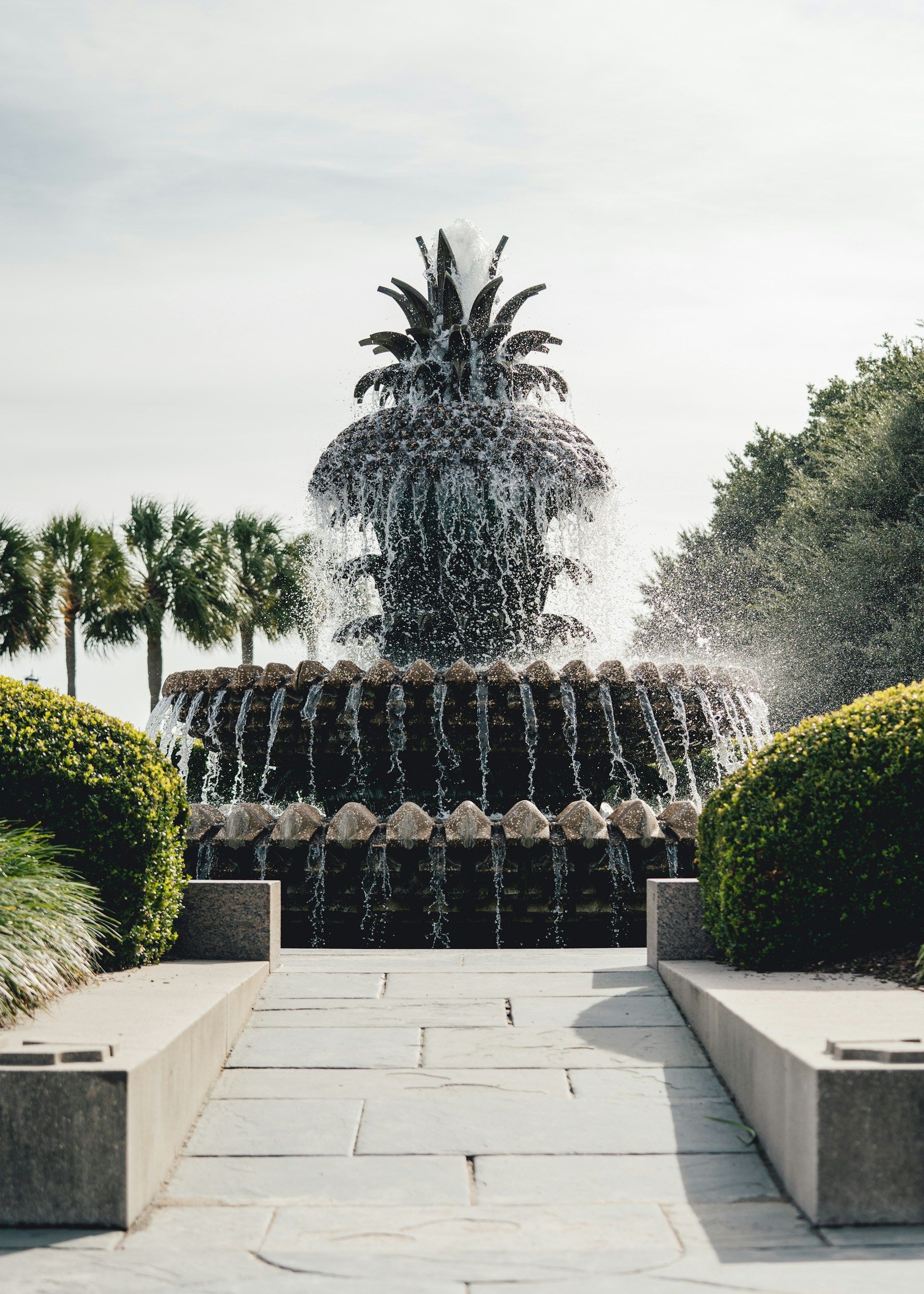 Round black fountain in a formal garden, framed by hedges and palm trees along a stone walkway