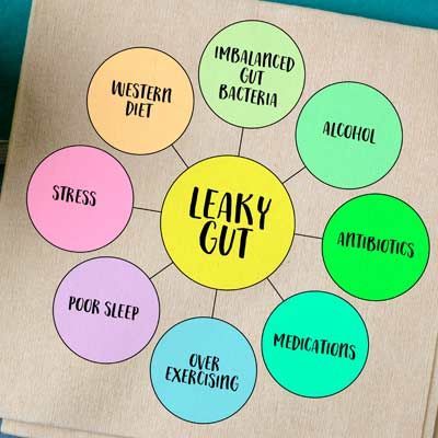 Click to Enlarge Diagram of leaky gut causes in colored circles: stress, poor sleep, over-exercising, medications, antibiotics, alcohol, western diet, imbalanced gut bacteria