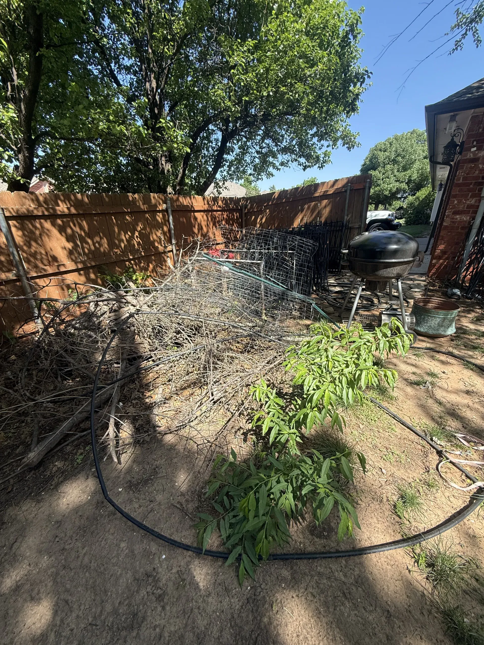 Backyard garden with a green shrub, black hose ring, and a spray of water near a brick fence