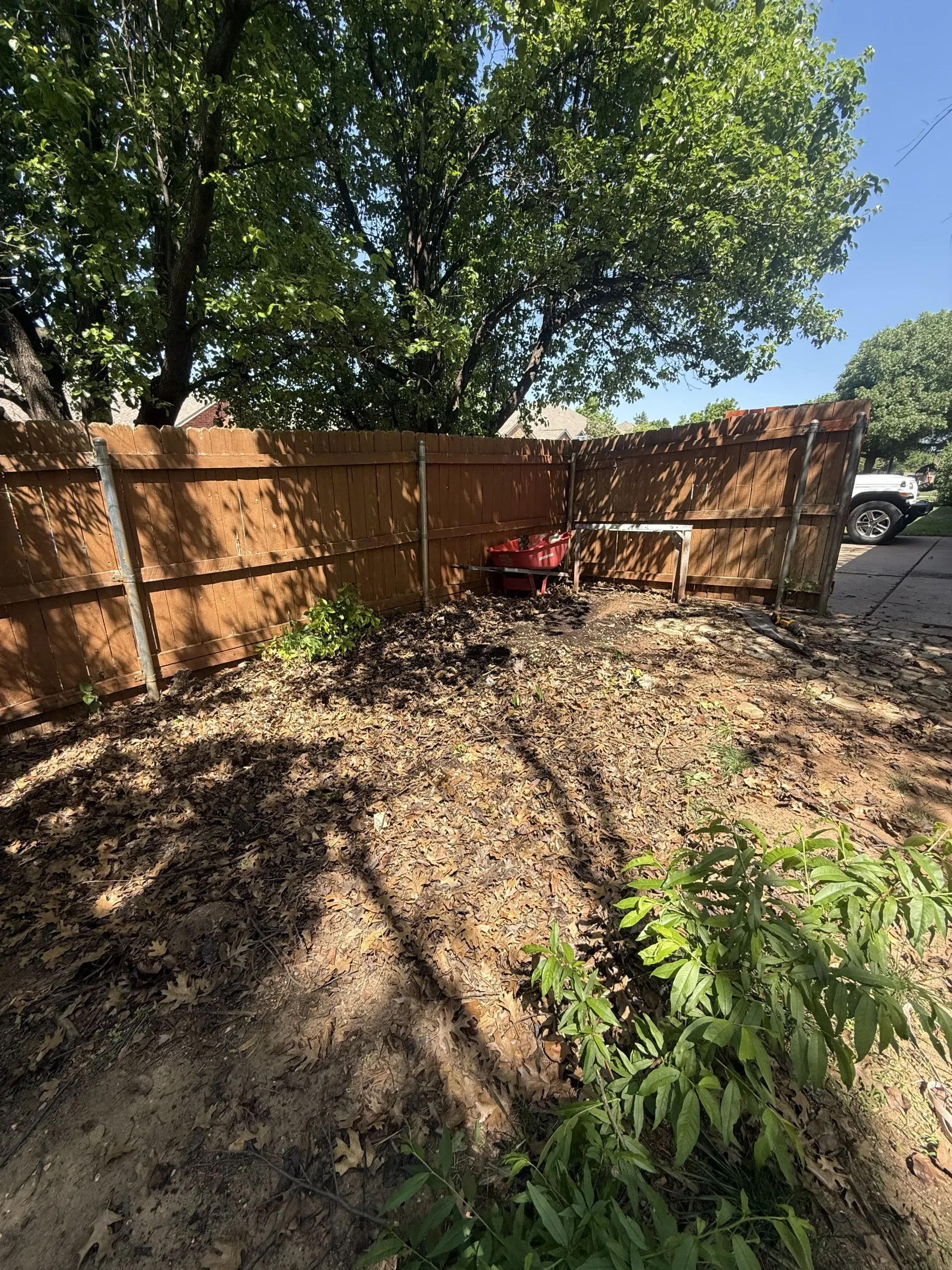 Wooden fence and large tree shading a dirt yard with a red chair and white table in the corner