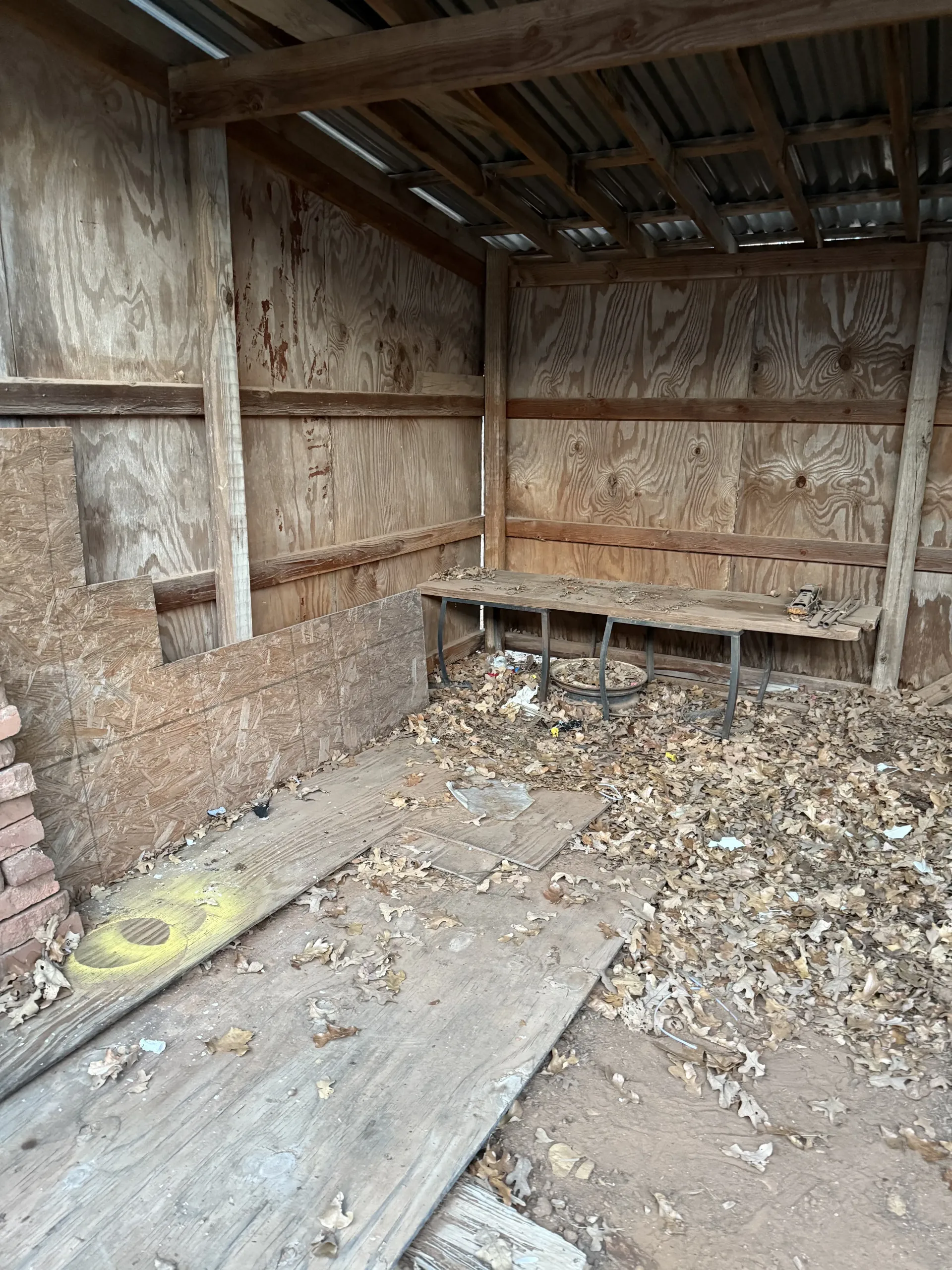 Dilapidated wooden shed interior with debris-strewn floor and rough bench along the back wall