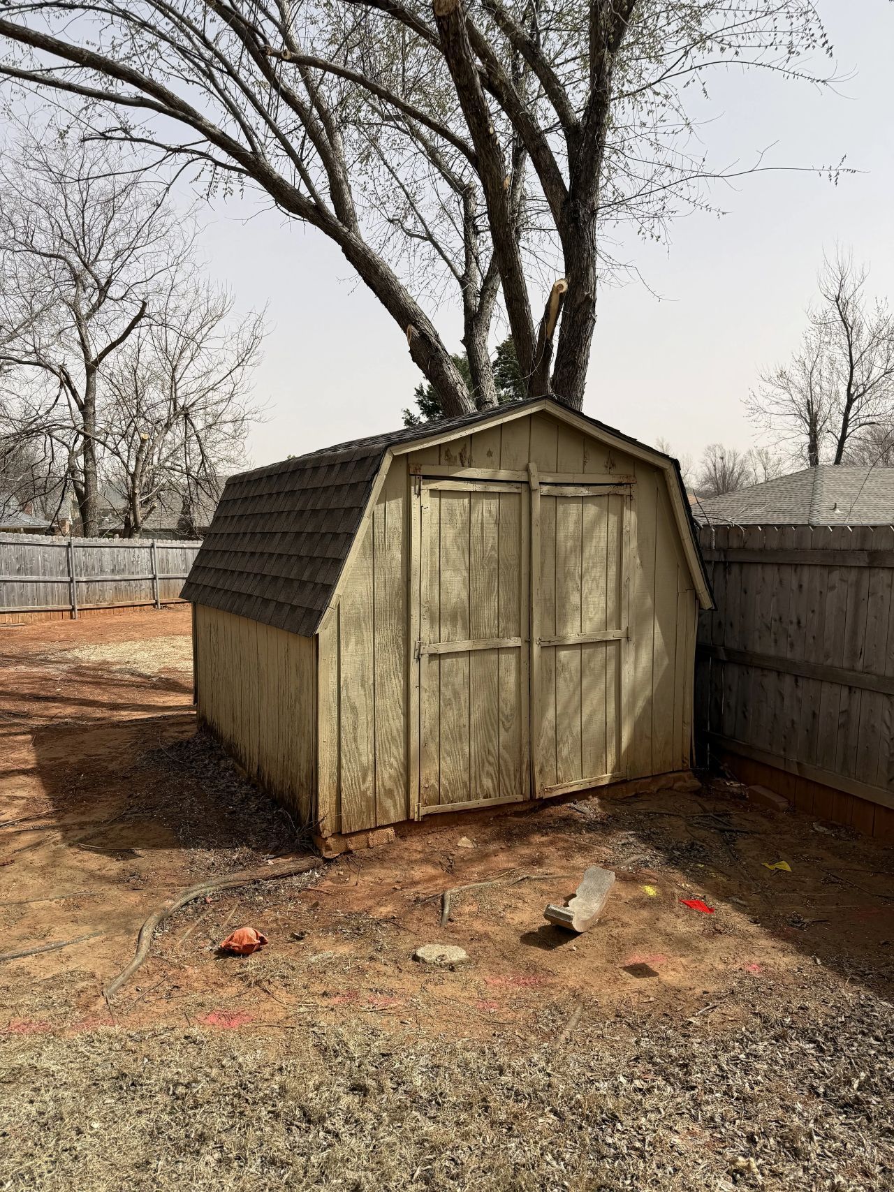 Small weathered shed in a bare yard, with leafless trees and a wooden fence nearby.