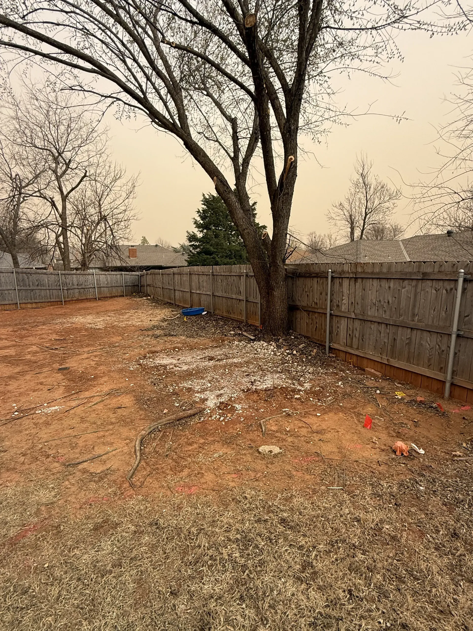 Leaf-covered backyard with a large tree, wooden fence, and overcast sky.