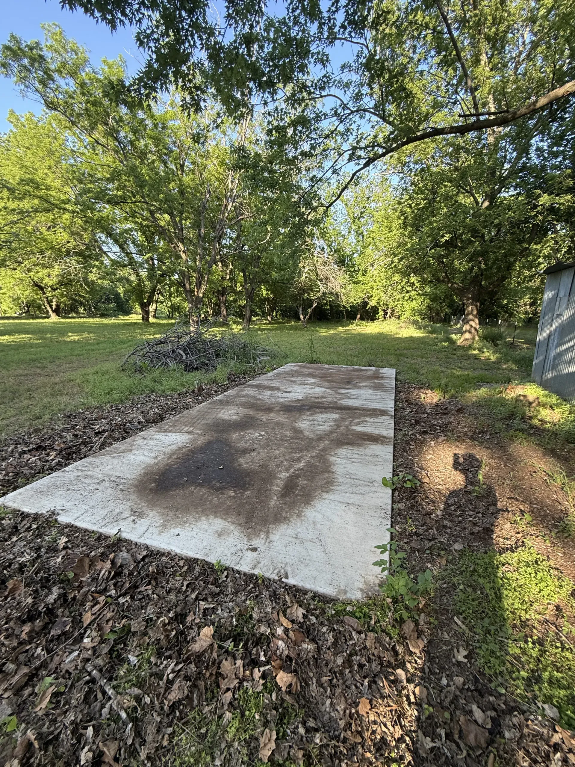 Concrete slab in a grassy yard beneath trees, with fallen leaves scattered around.