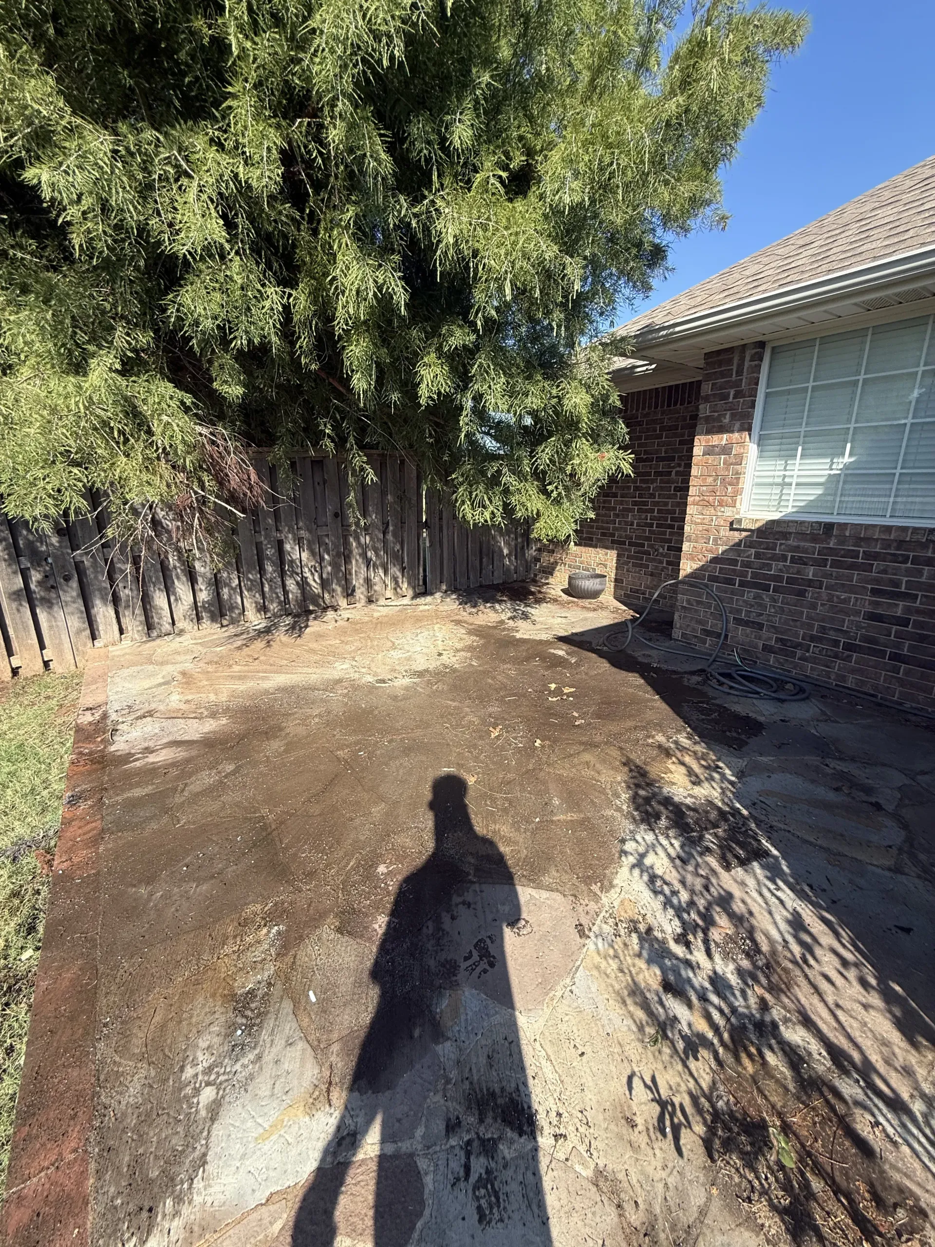 Backyard with wet dirt path beside a brick house, tree, and wooden fence, with a long shadow in the foreground
