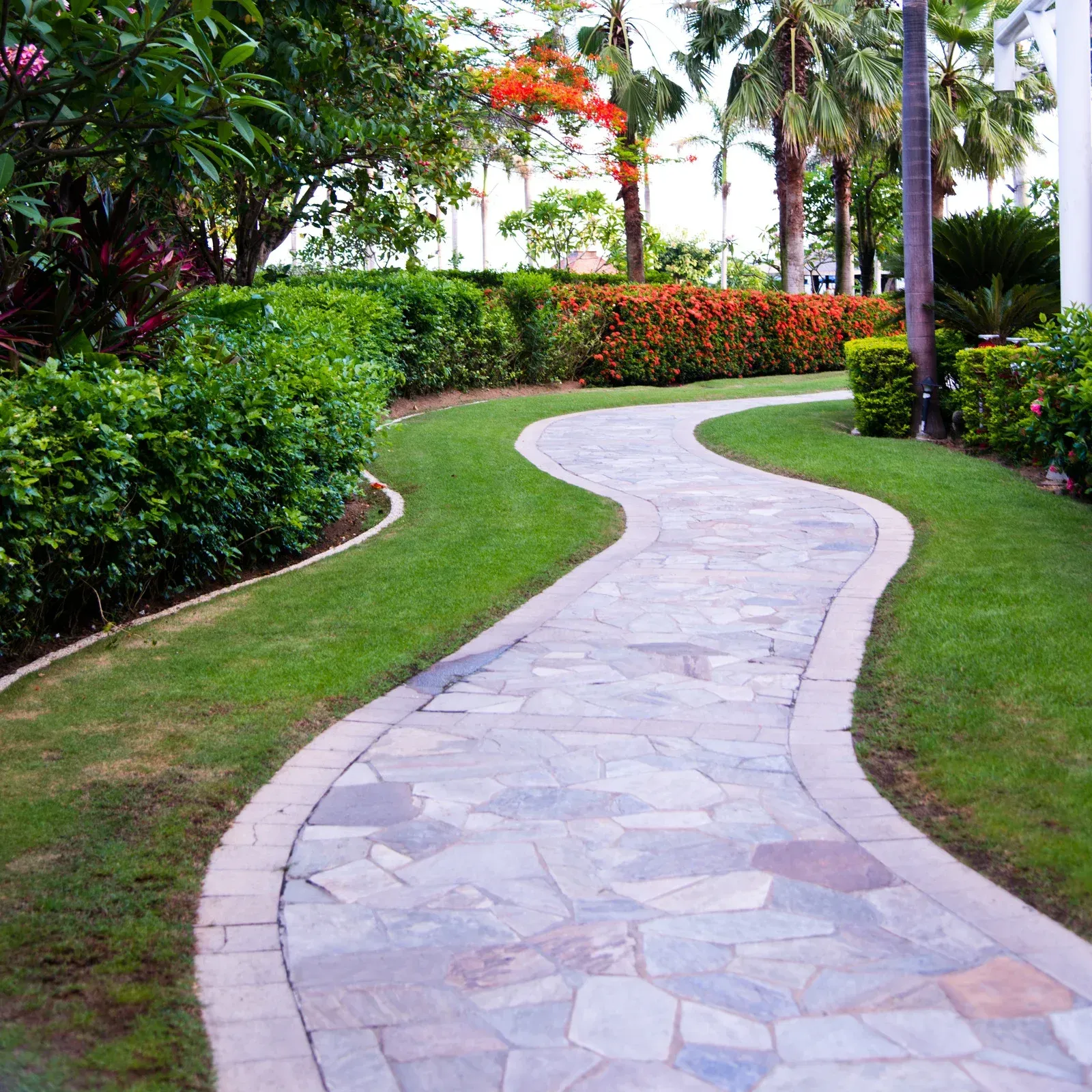 A stone walkway winds through a lush green garden