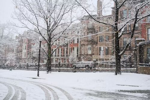Snowy street scene in front of brownstone buildings. Bare trees and parked car with fresh tire tracks in snow.