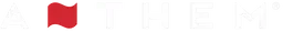 Red flag icon on a white background