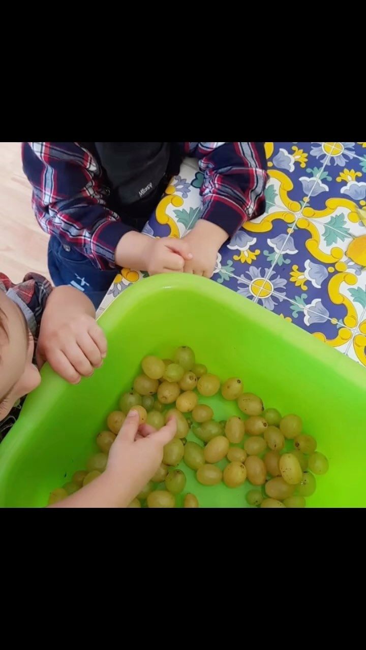 Due bambini frugano in un contenitore verde pieno di uva verde.
