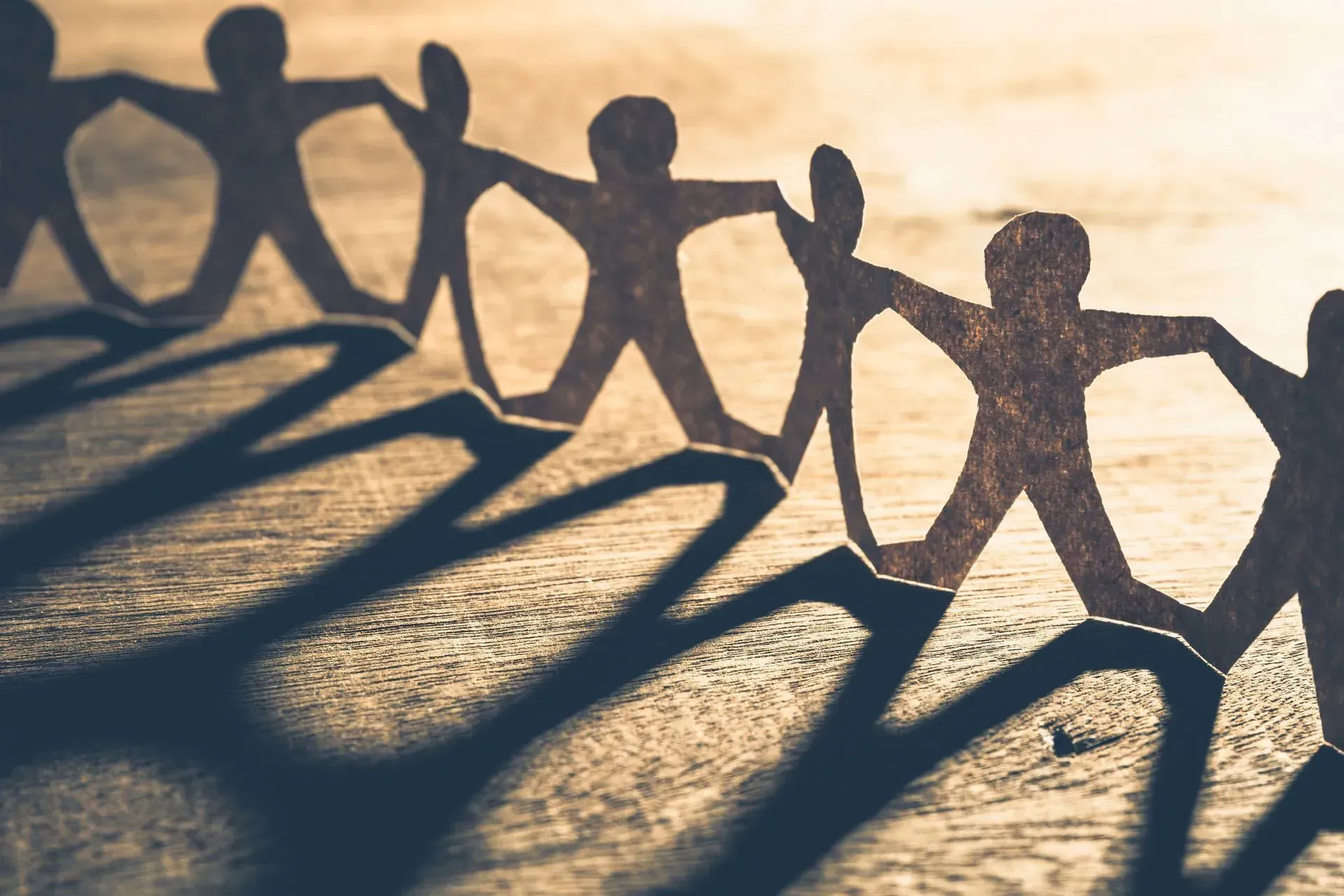 A row of paper cutout figures holding hands, casting long, dark, connected shadows on a textured, warm-toned surface.
