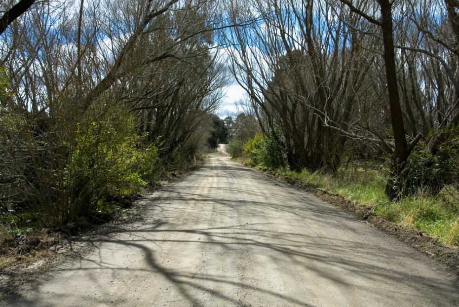 A Dirt Road Going Through A Forest With Trees On Both Sides — About Time Plumbing & Civil Construction in Moss Vale, NSW