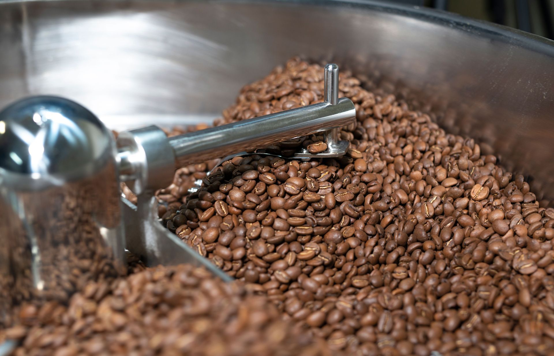 Coffee beans being stirred in a roasting drum with a metal paddle