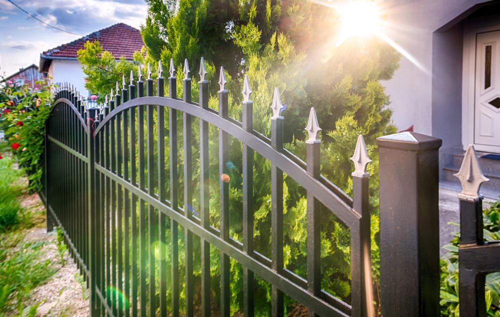The Sun is Shining Through the Trees Behind the Fence — AM & JD Contracting In Muswellbrook, NSW