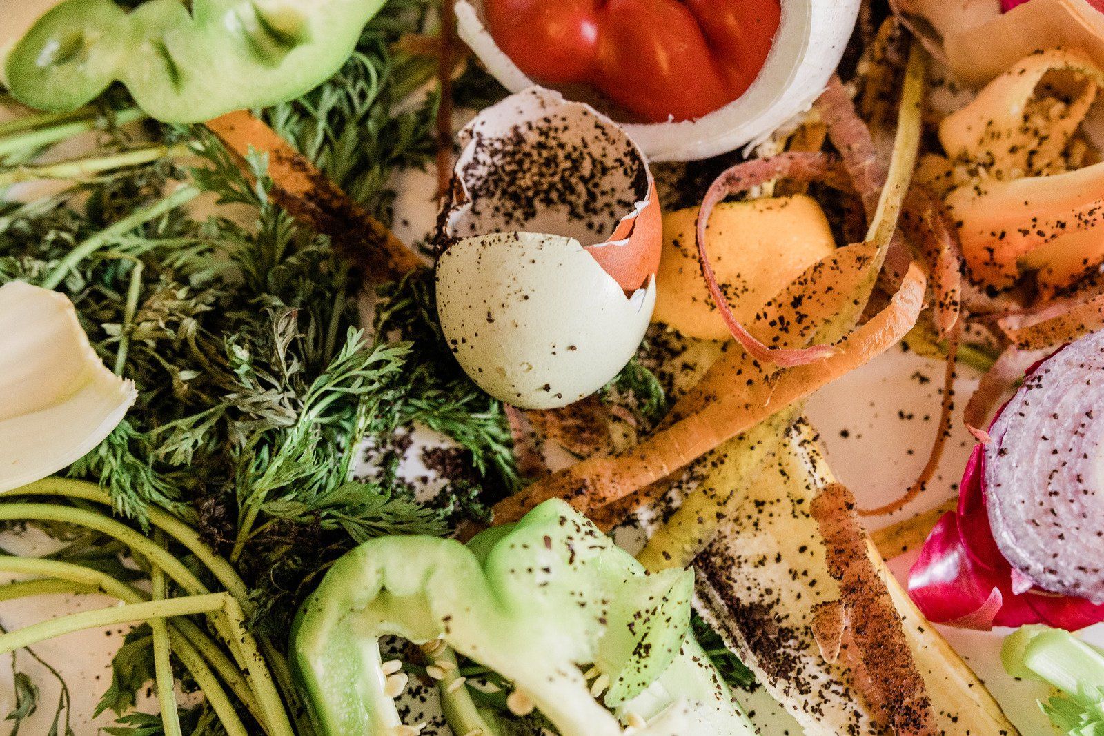 food scraps