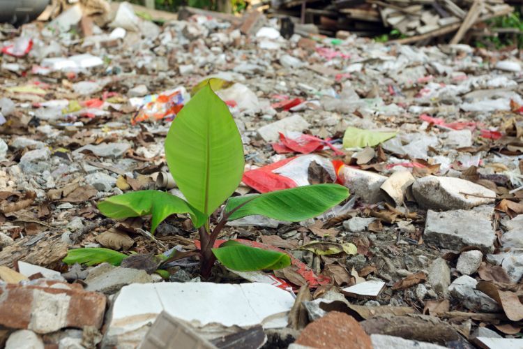 concrete dumping anywhere