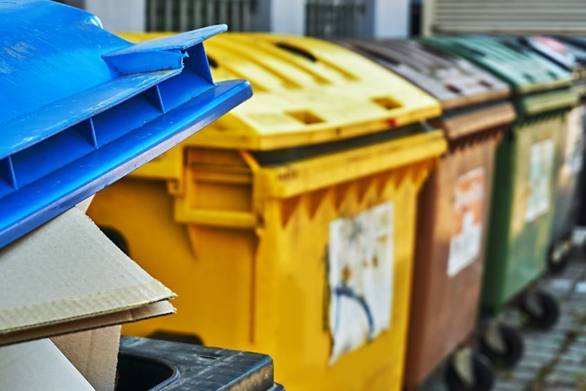 dumpster rental options