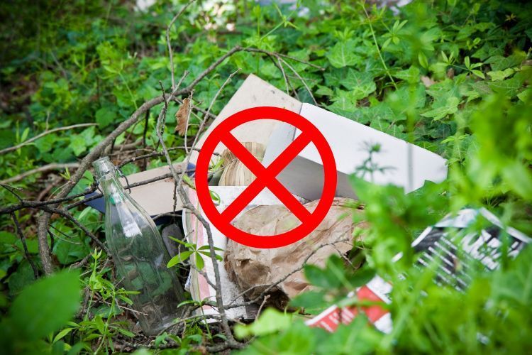 illegal dumping