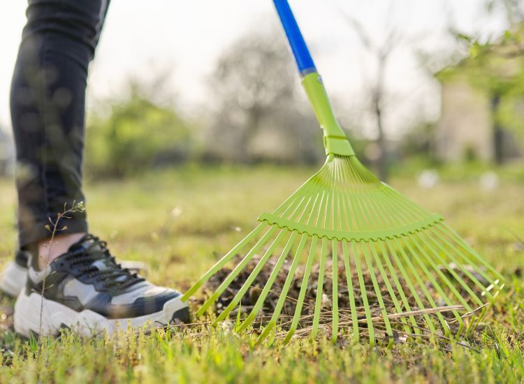 spring cleaning the garden