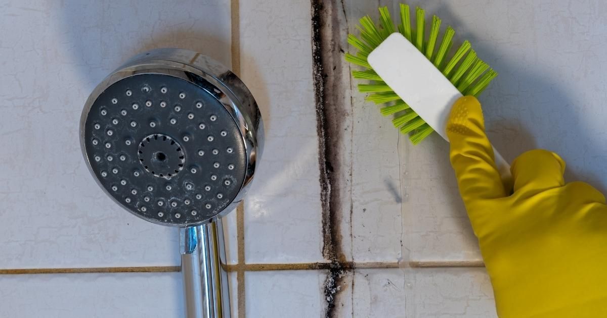 Gloved hand scrubbing dirty shower grout with a brush beside a showerhead