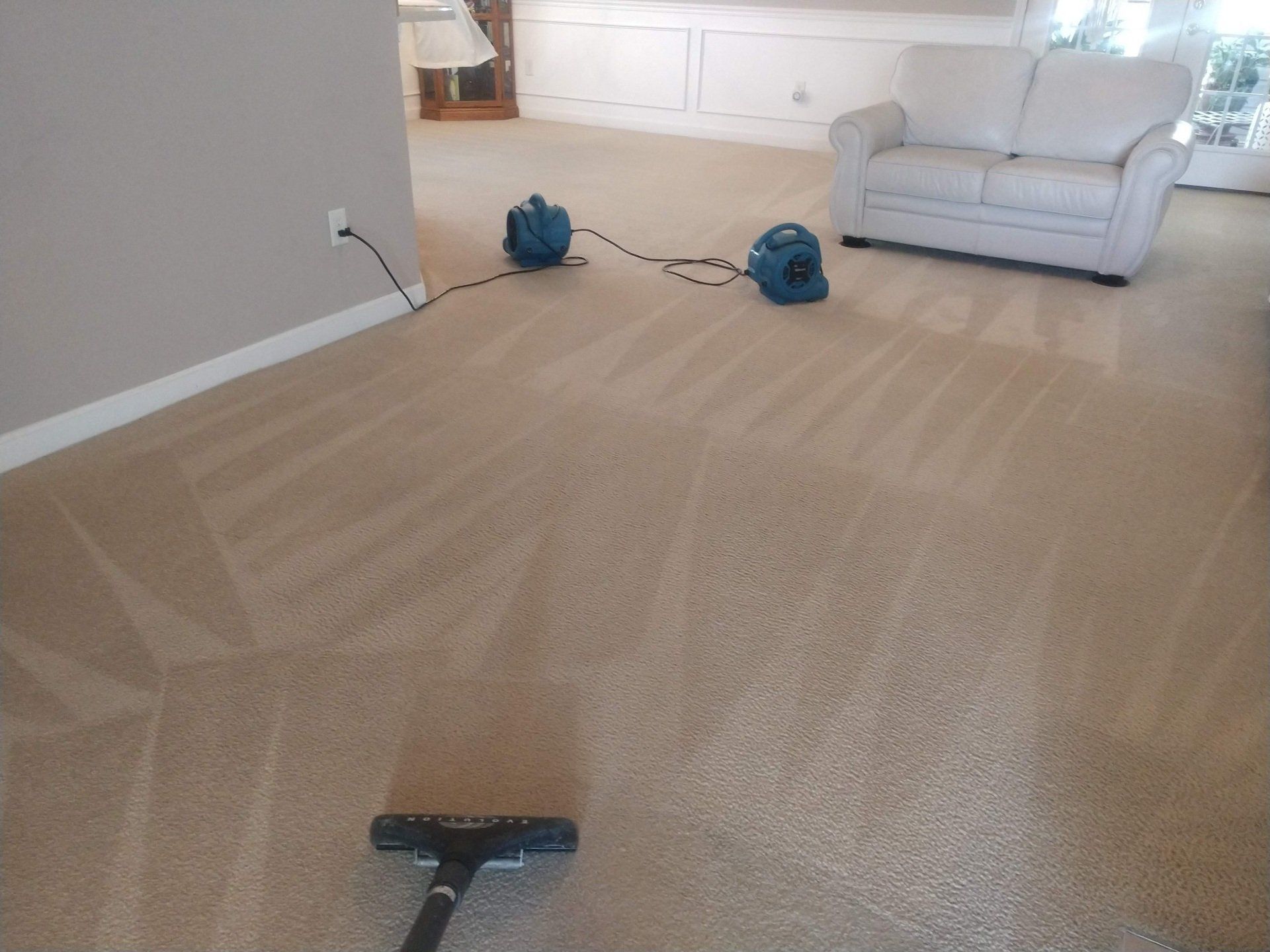 Carpet being cleaned in a living room. Two air movers and a couch are visible.