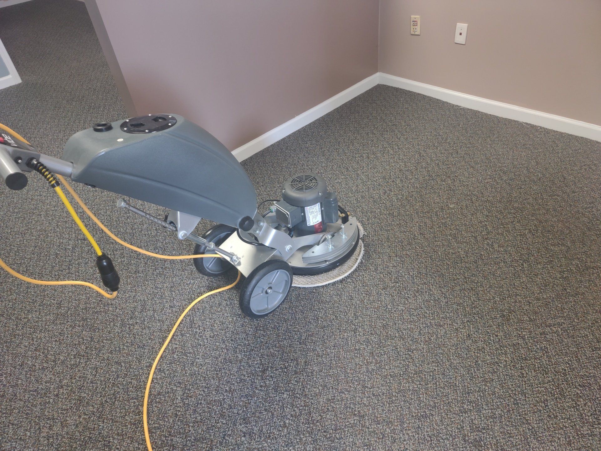 Area Rug Cleaning