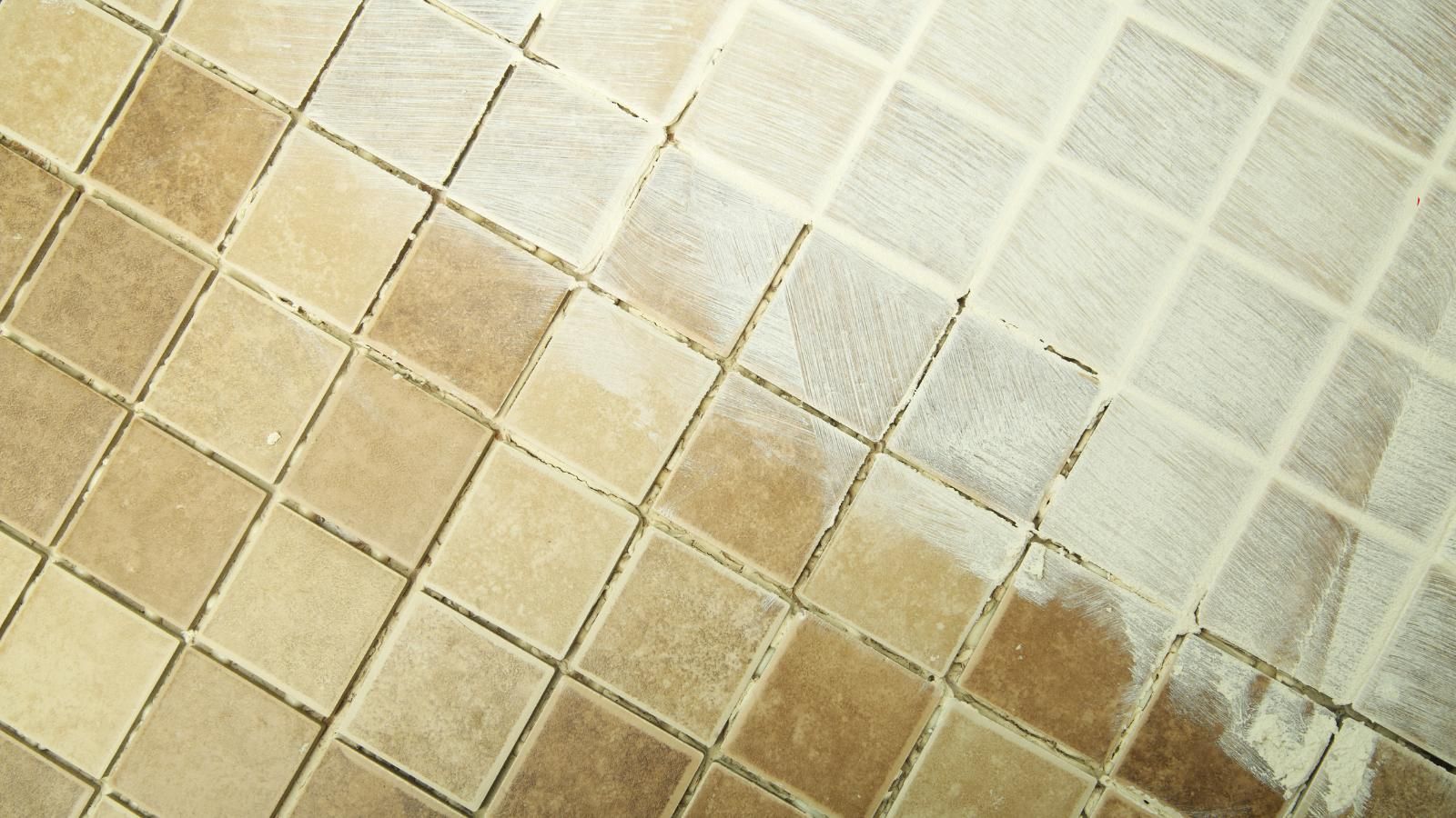 Tile and grout in the process of being cleaned. 