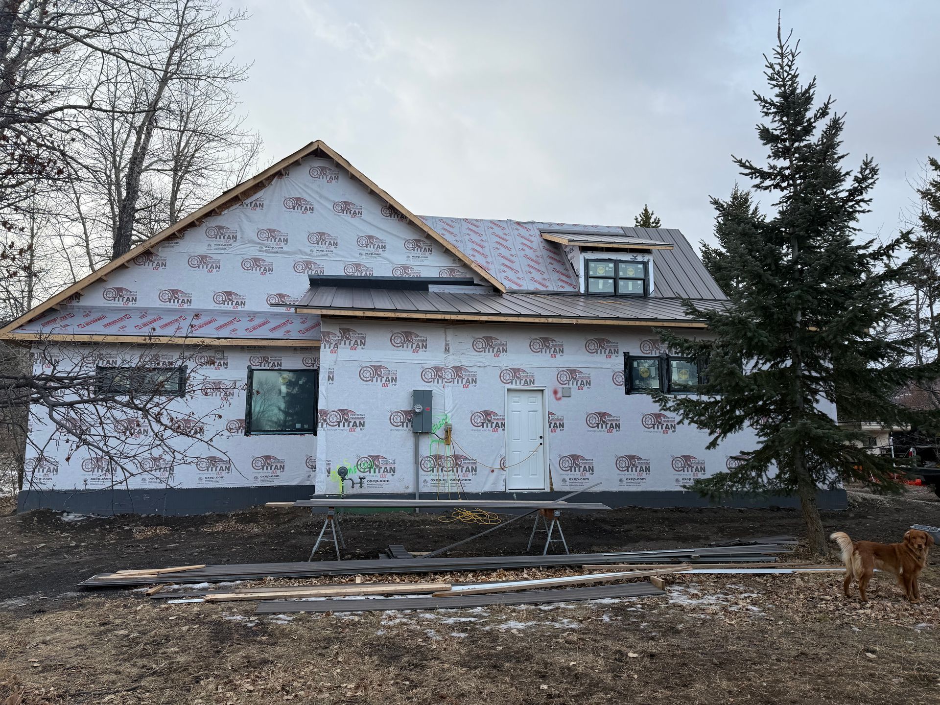 House under construction with white wrap, gray roof, trees, and a small dog in the yard