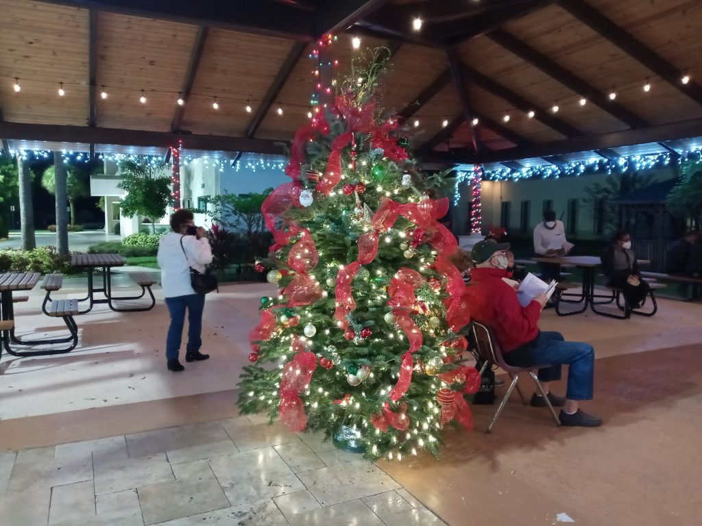 Decorated Christmas tree with red lights in a pavilion, with people seated nearby at night