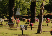 Woodlawn Memorial Park Grounds Photo