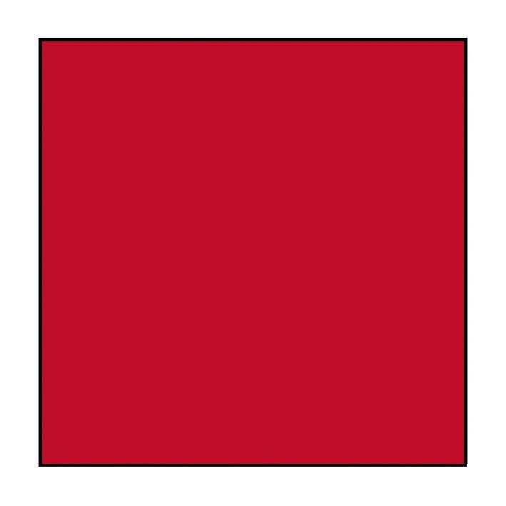 A red square with a black border on a white background.