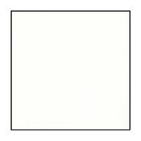 A white square with a black frame on a white background.