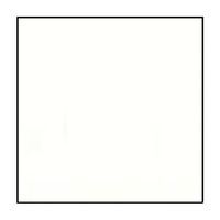 A white square with a black frame on a white background.