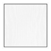 A white square with a black frame on a white background.