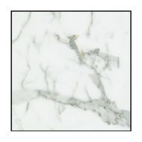 Un carreau de marbre blanc avec un cadre noir sur fond blanc.