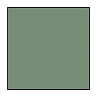 Un carré vert avec un cadre noir sur fond blanc.