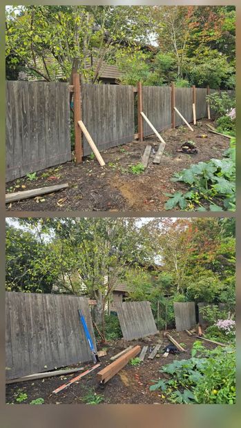 Two views of a backyard fence with leaning boards, debris, and trees around it.
