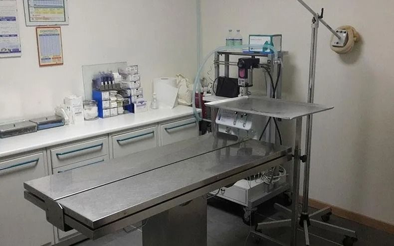 Sala visite veterinarie con tavolo operatorio in metallo, scaffali con materiali e lavandino sullo sfondo.