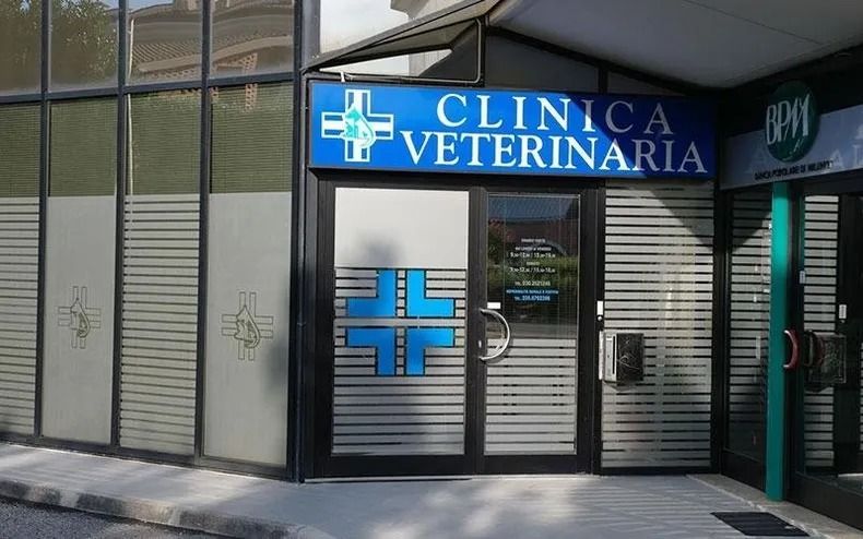 Vetrina di una clinica veterinaria con insegna blu e ingresso in vetro.