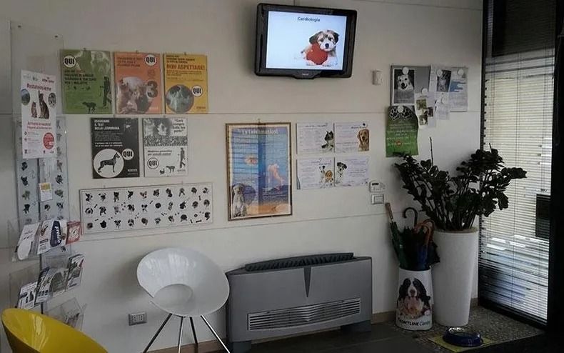 Sala d'attesa con poster alle pareti, un piccolo televisore, una sedia e piante in vaso vicino a una finestra.