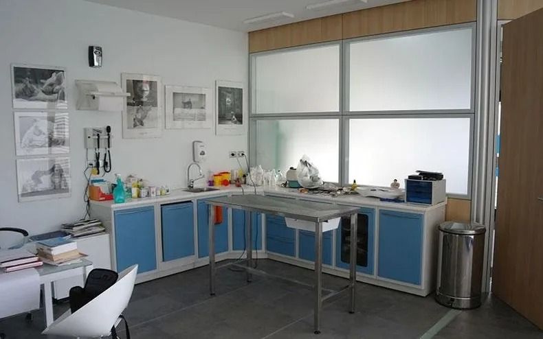 Area vuota adibita ad attività artistiche in classe, con armadietti blu, tavoli da lavoro, schizzi alle pareti e grandi finestre.