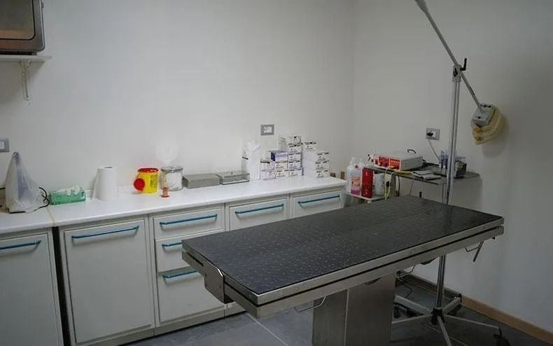 Sala visite veterinarie con tavolo operatorio in acciaio inox e armadietti lungo la parete.