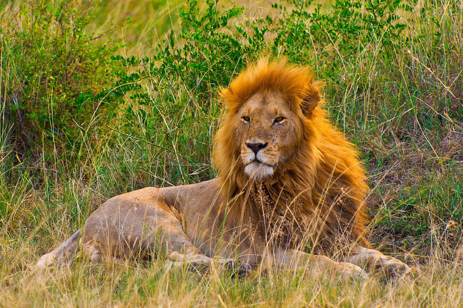 15 Day East Africa Extravaganza