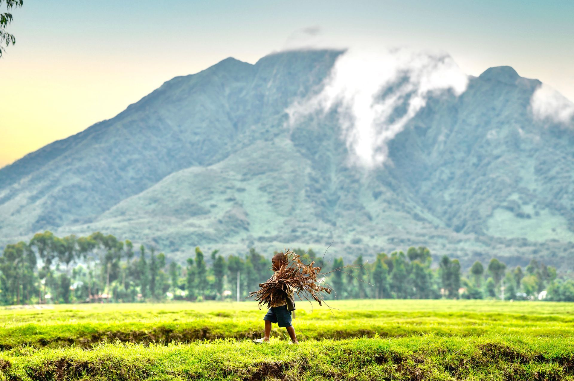 Person carrying a bundle walks through a green field with misty mountains in the background.