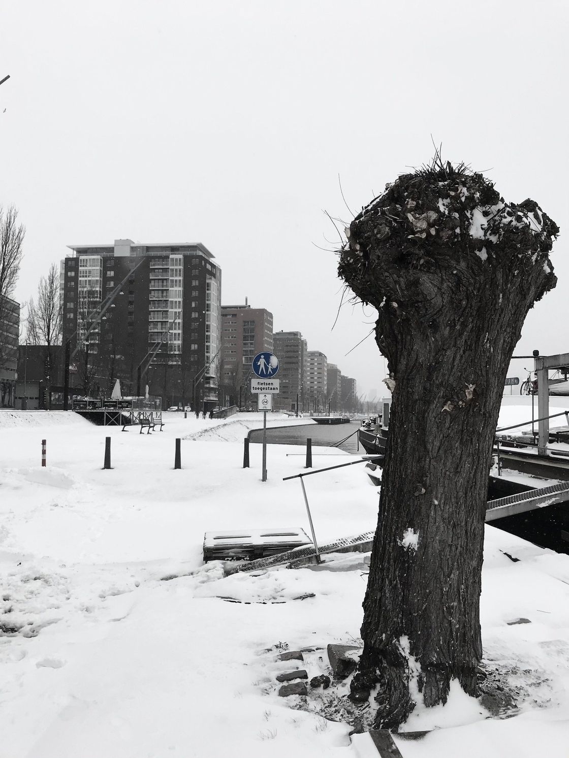 Een met sneeuw bedekt landschap met een grote, karakteristieke boom op de voorgrond en appartementencomplexen in de verte.