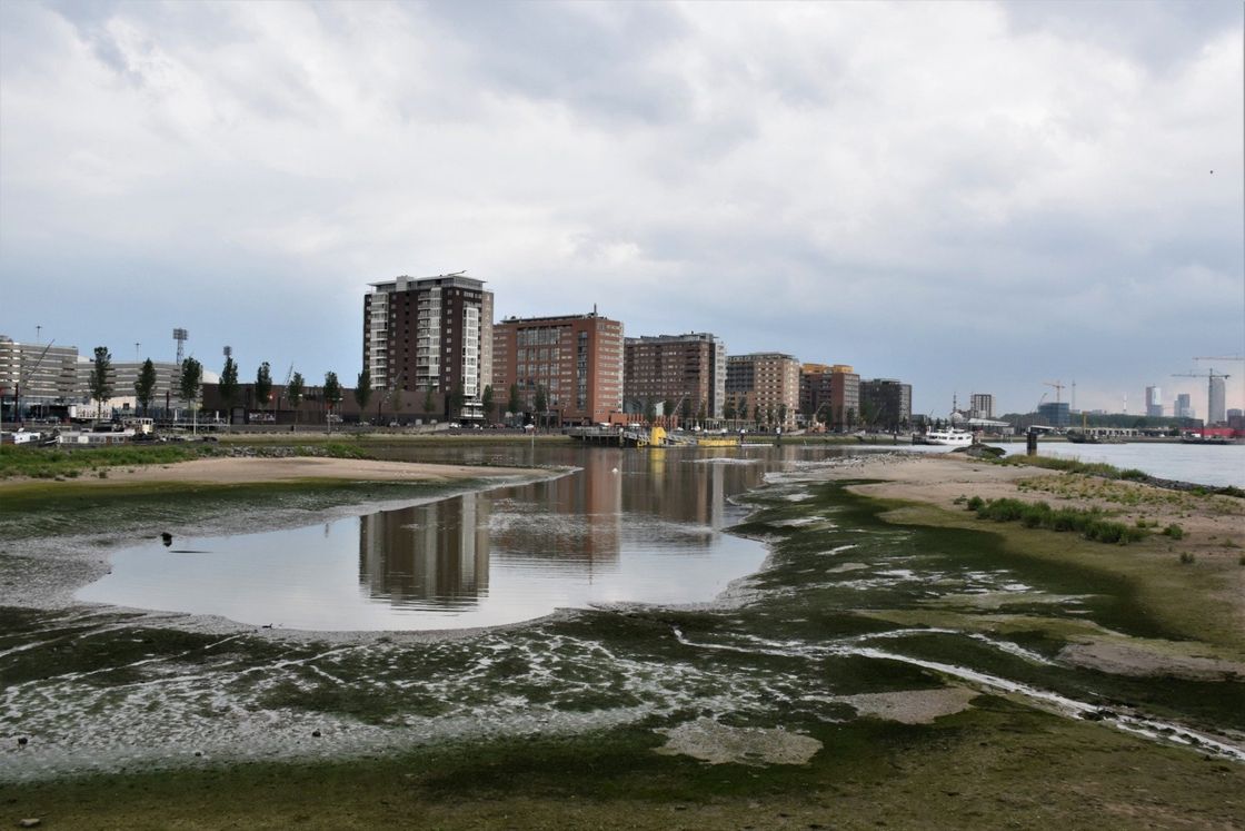 Scène bij eb: stadsgebouwen weerspiegelen zich in het water, modderige oevers op de voorgrond, bewolkte lucht.