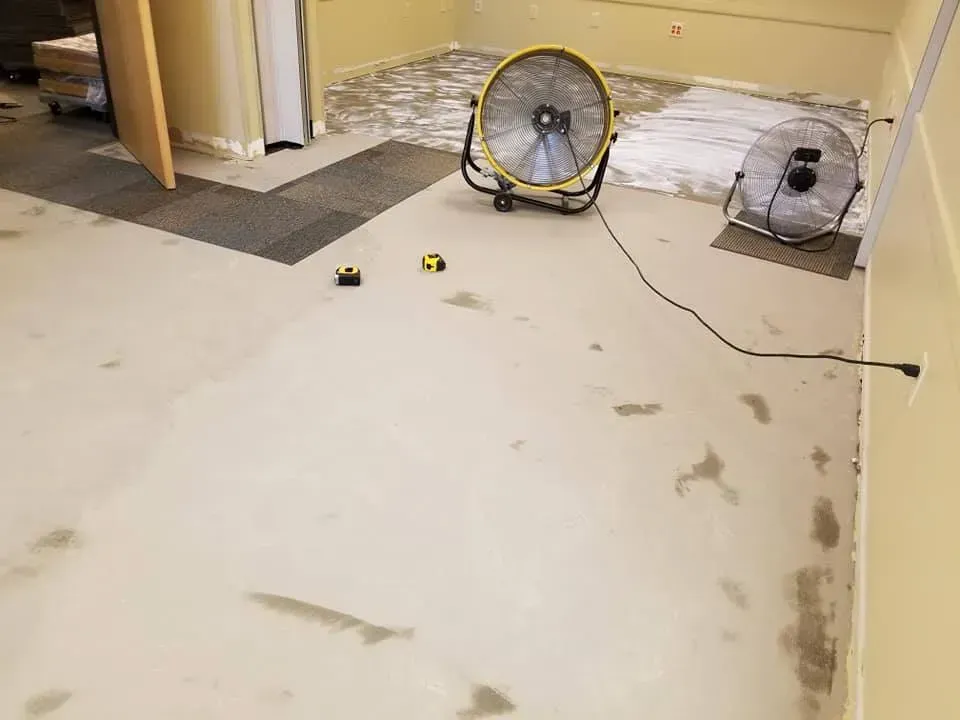 A fan is sitting on the floor of a room.