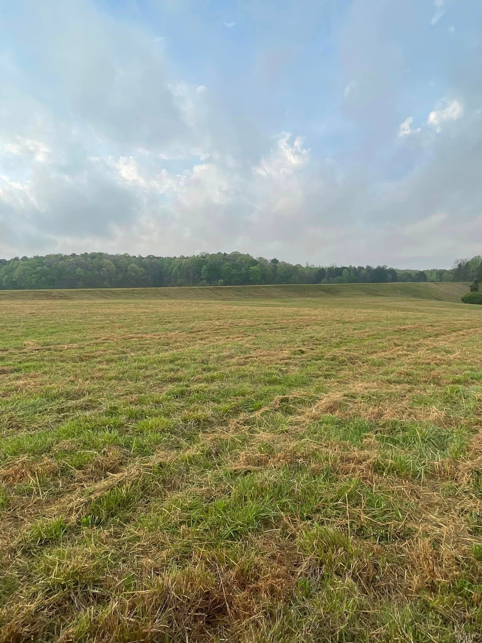 Land Clearing Services in Roopville, GA