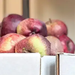 Fresh fruit and vegetables from Ballarat Wholefoods Collective